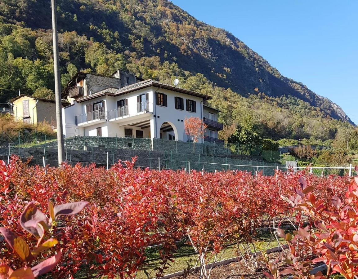 Guest House Le Cassandre Sondrio Eksteriør billede